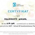 Powiększ obraz: certificate 2
