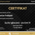 Powiększ obraz: certificate 2