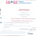 Powiększ obraz: certificate 3
