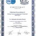 Powiększ obraz: certificate 6