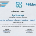 Powiększ obraz: certificate 10