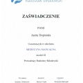 Powiększ obraz: certificate 10