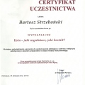 Powiększ obraz: certificate 16