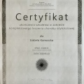 Powiększ obraz: certificate 2