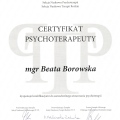 Powiększ obraz: certificate 1