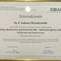 Powiększ obraz: certificate 2