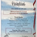 Powiększ obraz: certificate 13