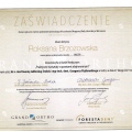 Powiększ obraz: certificate 8
