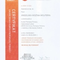 Powiększ obraz: certificate 2