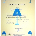Powiększ obraz: certificate 8