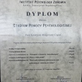 Powiększ obraz: certificate 5
