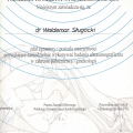 Powiększ obraz: certificate 6