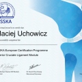 Powiększ obraz: certificate 4