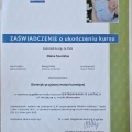Powiększ obraz: certificate 2