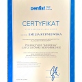 Powiększ obraz: certificate 1