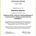 Powiększ obraz: certificate 1