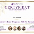 Powiększ obraz: certificate 5