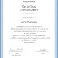 Powiększ obraz: certificate 1