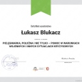 Powiększ obraz: certificate 206