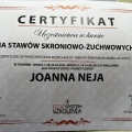 Powiększ obraz: certificate 9