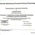 Powiększ obraz: certificate 18
