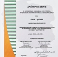 Powiększ obraz: certificate 7