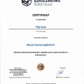 Powiększ obraz: certificate 4
