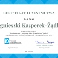 Powiększ obraz: certificate 2