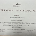 Powiększ obraz: certificate 4