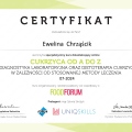 Powiększ obraz: certificate 11