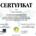 Powiększ obraz: certificate 1