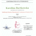 Powiększ obraz: certificate 5