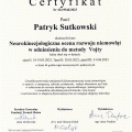 Powiększ obraz: certificate 7