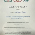 Powiększ obraz: certificate 13