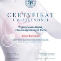 Powiększ obraz: certificate 1