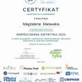Powiększ obraz: certificate 4