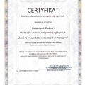 Powiększ obraz: certificate 6