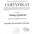 Powiększ obraz: certificate 1