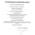 Powiększ obraz: certificate 5