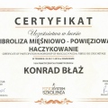 Powiększ obraz: certificate 20