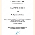 Powiększ obraz: certificate 1