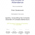 Powiększ obraz: certificate 8