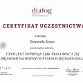 Powiększ obraz: certificate 13