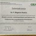Powiększ obraz: certificate 4