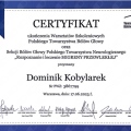 Powiększ obraz: certificate 2