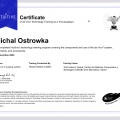 Powiększ obraz: certificate 2