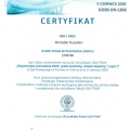 Powiększ obraz: certificate 19