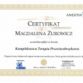 Powiększ obraz: certificate 19