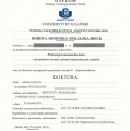 Powiększ obraz: certificate 4