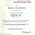 Powiększ obraz: certificate 11